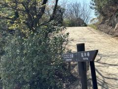 王子が岳　ニコニコ岩