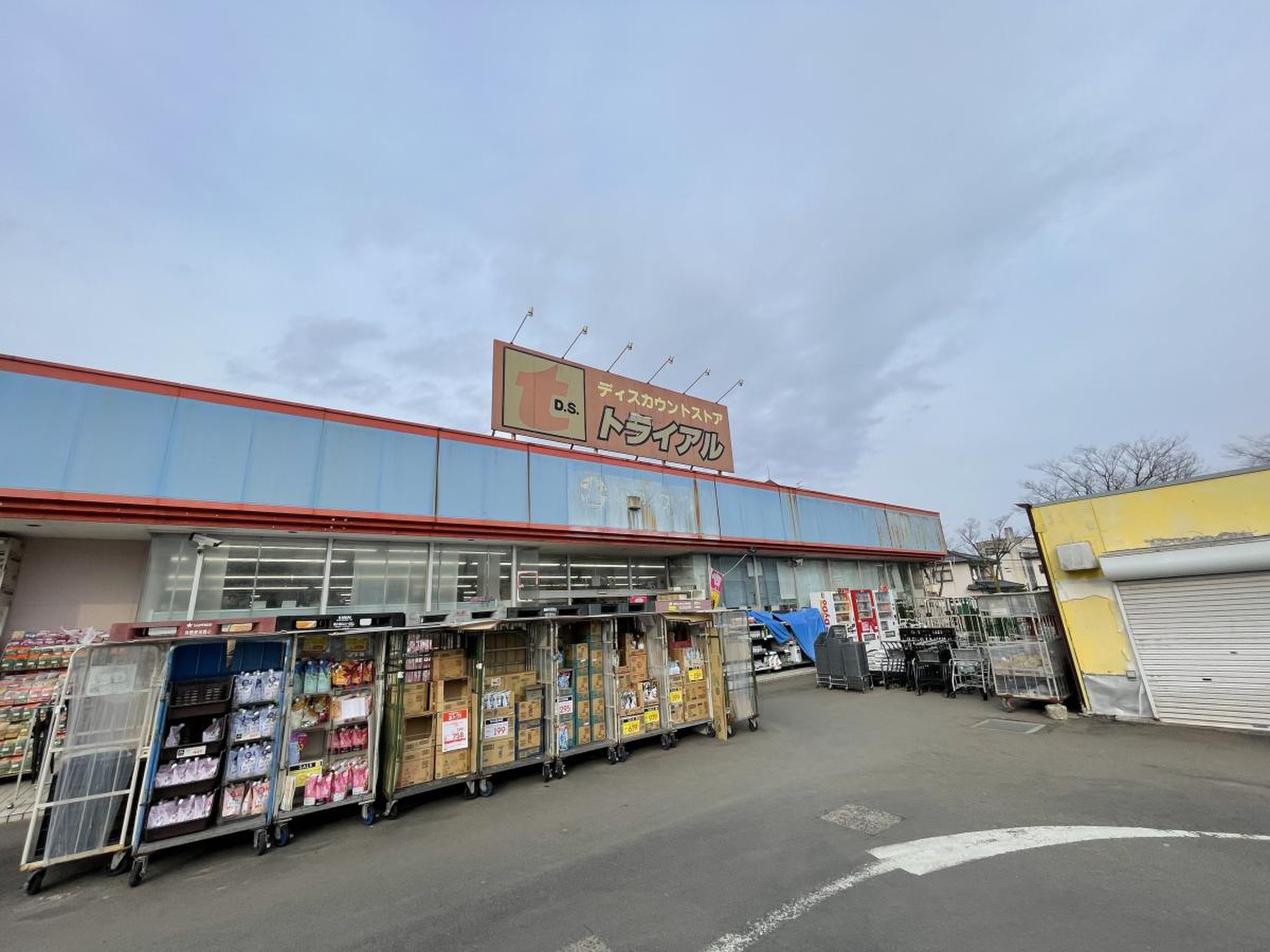 活動歴および当時の関連ビジュアル記録