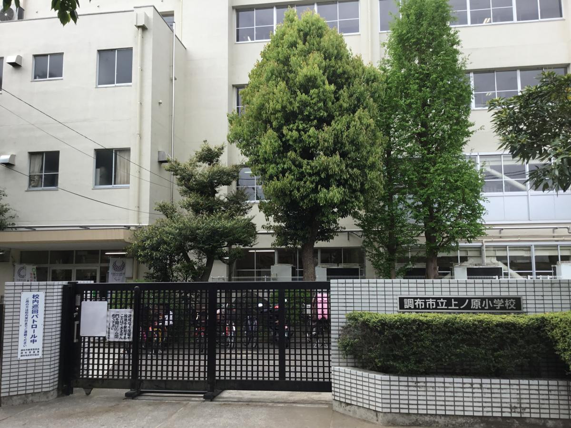 活動歴および当時の関連ビジュアル記録