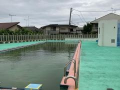 斎藤分小学校