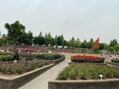荒牧バラ公園