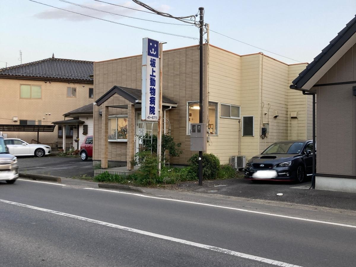 坂上動物病院