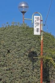 野沢家