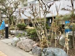 志の家手打そば