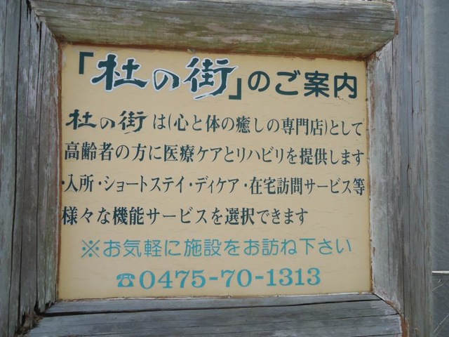 杜の街