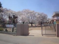 針ケ谷小学校