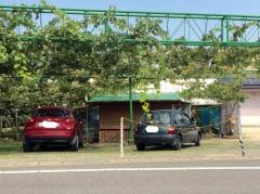 出田まるち果樹園