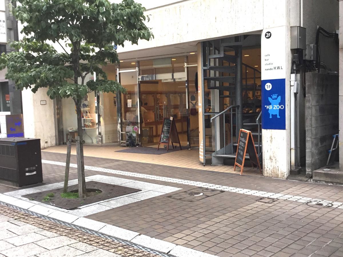 愛犬ショップ ZOOK9ZOO④