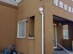 塚原皮膚科