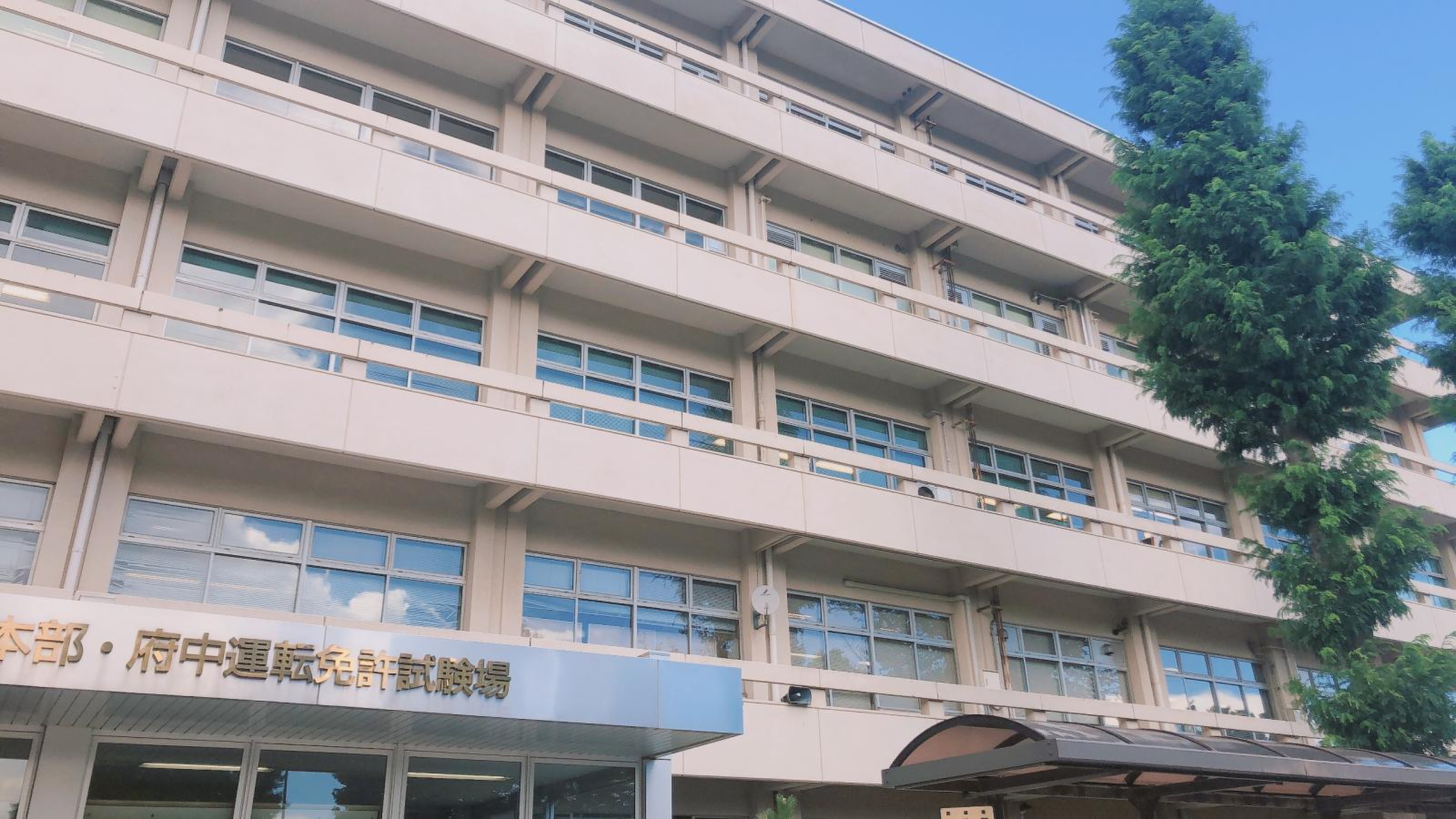 府中 運転 免許 試験場