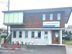 山野井歯科医院