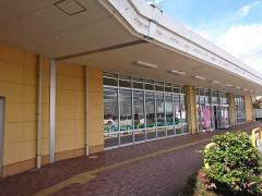 ザ・ダイソー　ヨークタウン老野森店