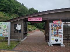 東沢公園ばら園