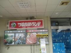 つるかめランド東大井店