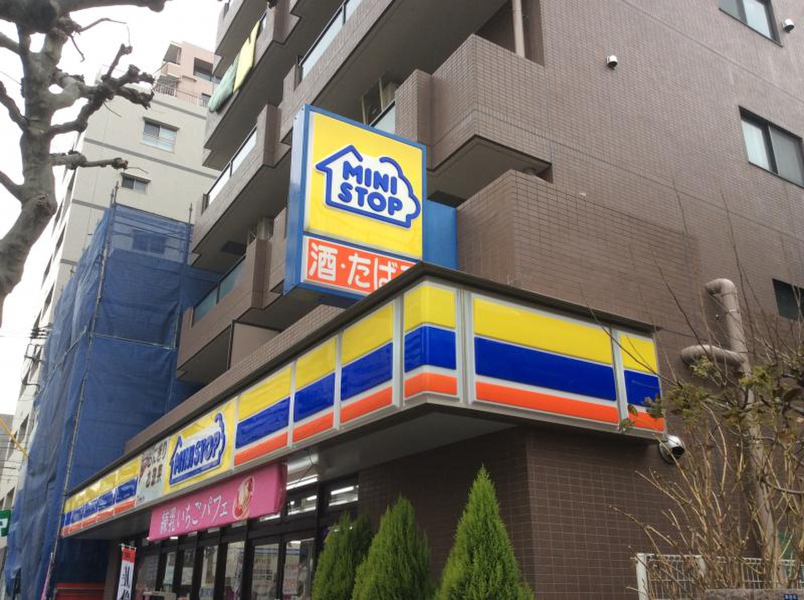 活動歴および当時の関連ビジュアル記録