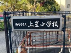 上星小学校