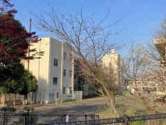 上星小学校