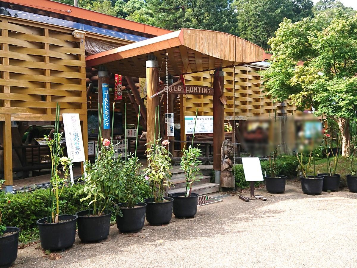 砂金採り