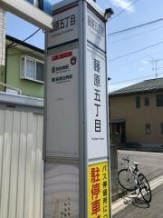 「藤原五丁目」バス停留所