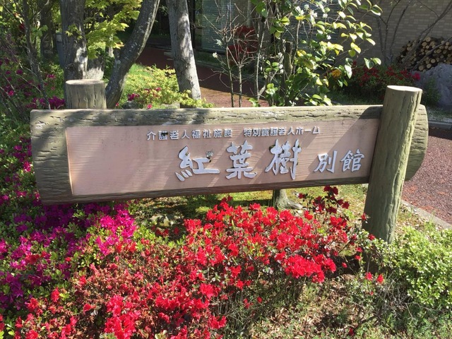 紅葉樹 看板