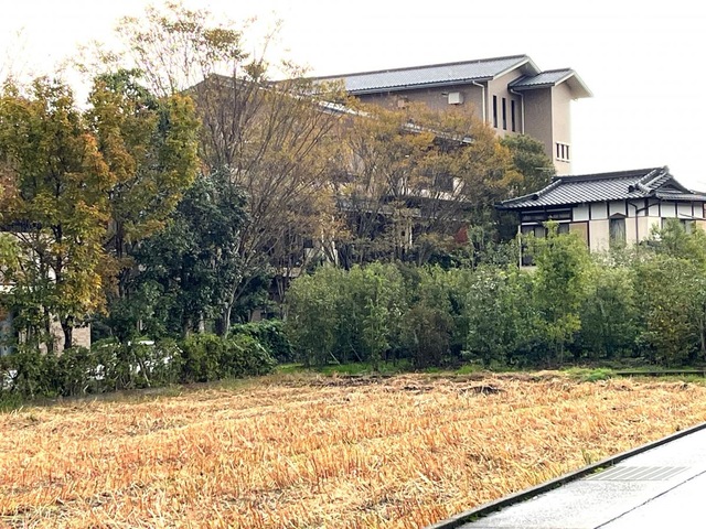 紅葉樹 建物全景