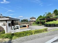 枝