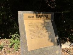朝比奈切通し