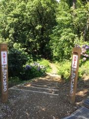県立月見山こどもの森