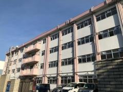 医生丘小学校