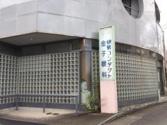 金子眼科