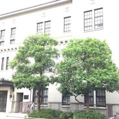 東洋英和女学院大学大学院