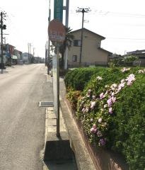 「東中田五丁目」バス停留所