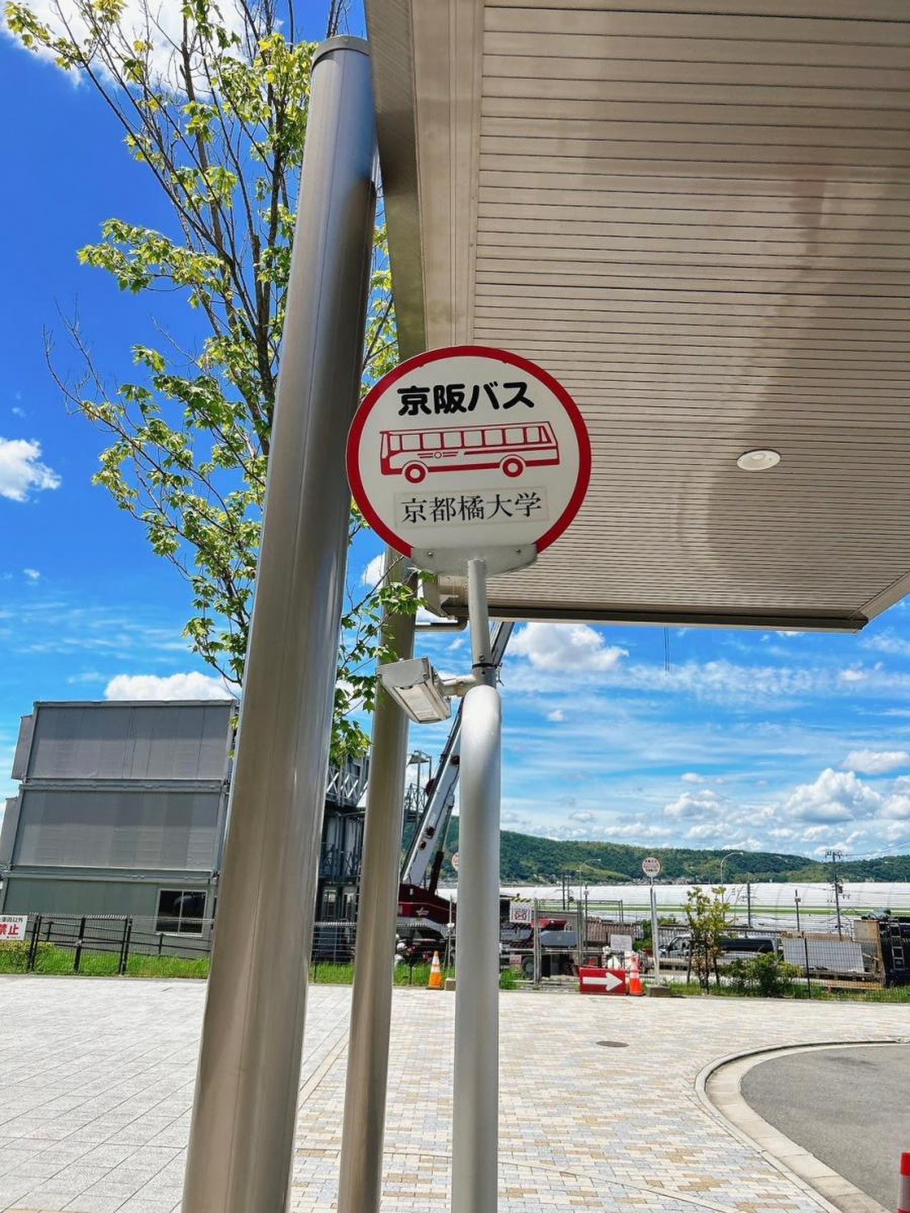 京都 橘 大学 バス