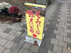 弥彦温泉