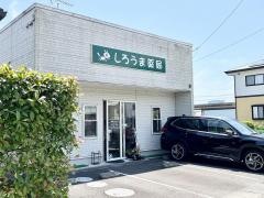 しろうま薬局