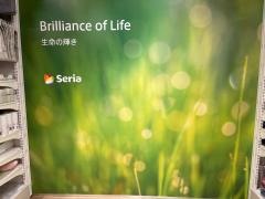 Ｓｅｒｉａミーナ天神店