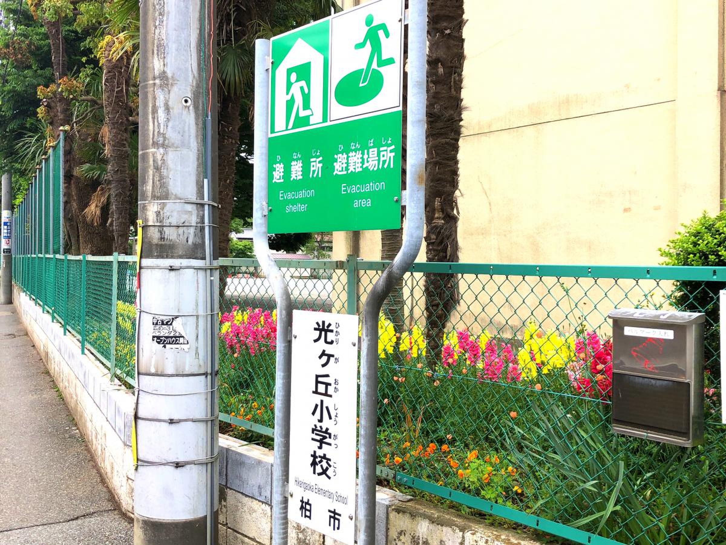 柏 市立 光ケ丘 小学校(02)