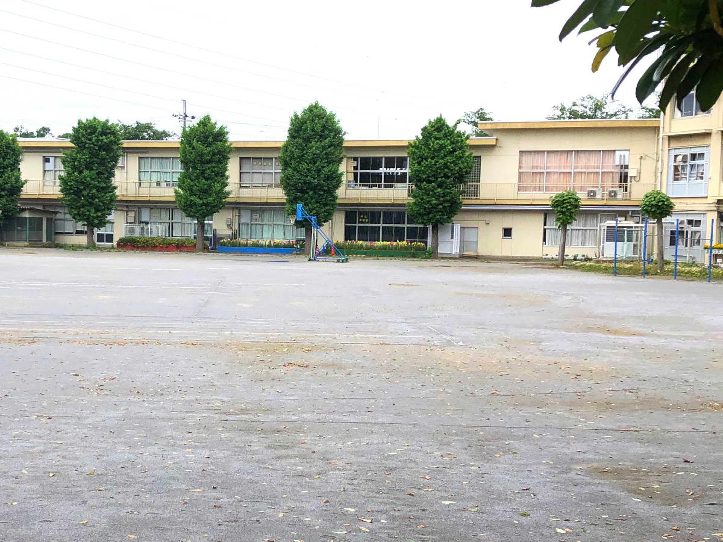 柏 市立 光ケ丘 小学校