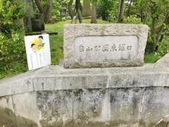 白山公園