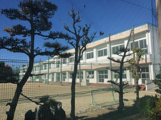 投稿写真3