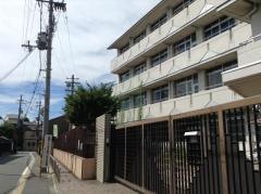 伏見南浜小学校