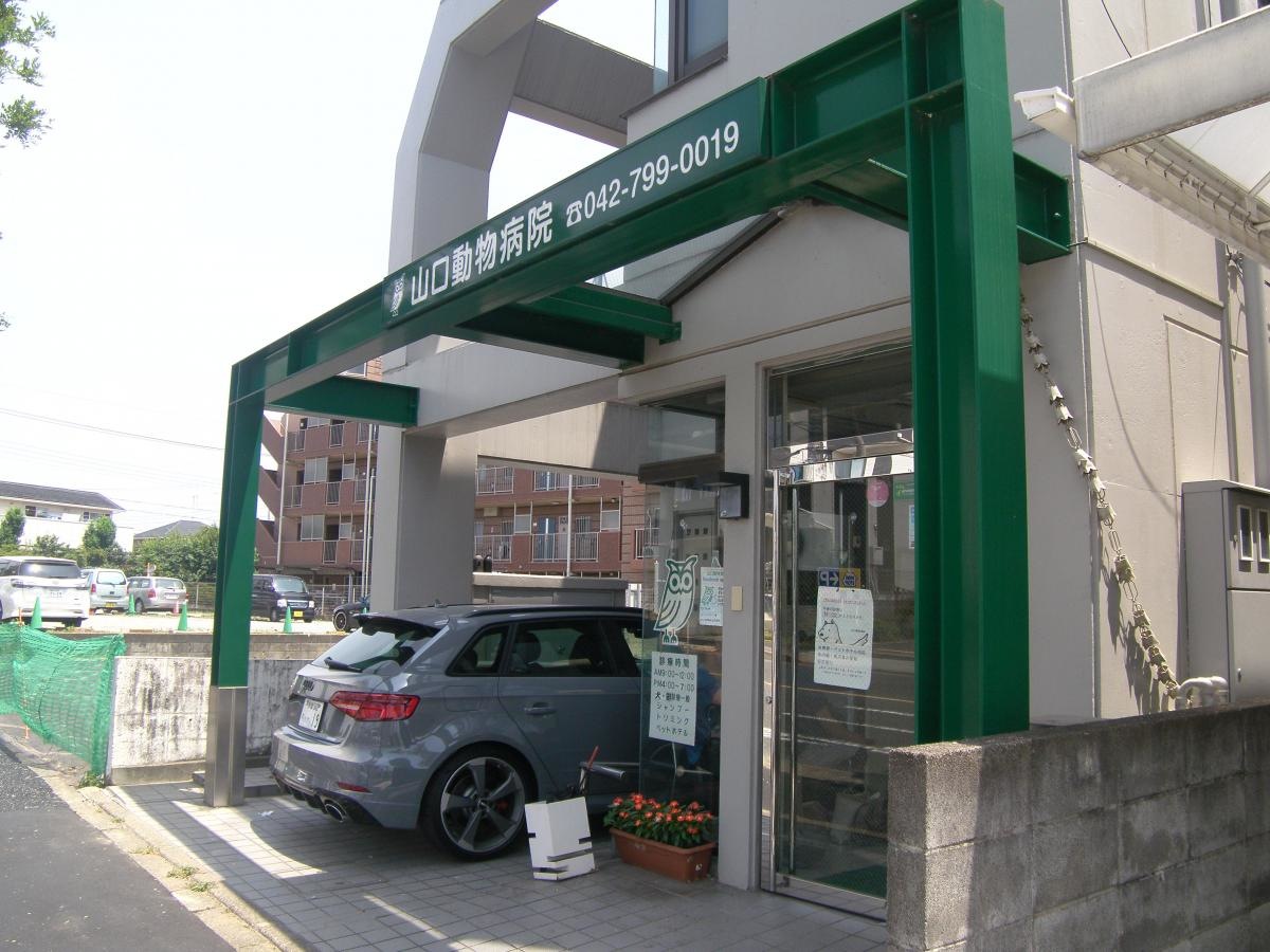 山口動物病院