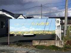 たんぽぽ