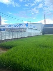 リカーマウンテン新堀川店