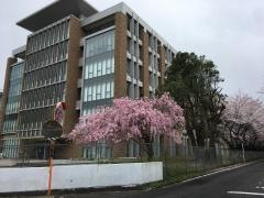 東北大学　片平キャンパス