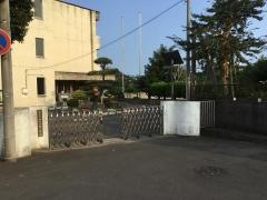 中小路小学校