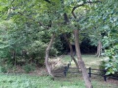 白幡公園