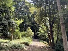 白幡公園