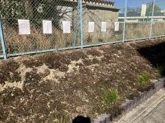 桃ケ丘小学校