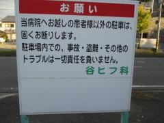 谷ヒフ科